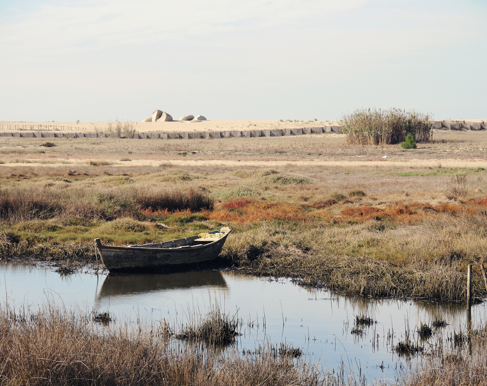 Nature Reserve Douro Estuary Site