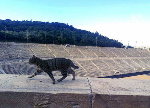 Athens: 100 km in Plato's Footsteps