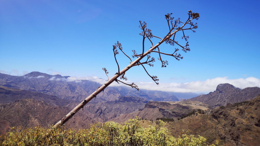 Top 15+1 kihagyhatatlan látnivaló Gran Canarián