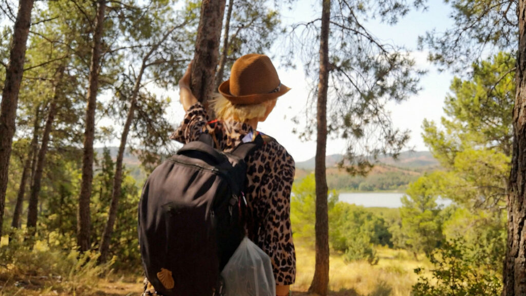 The unexpected side effect of the Camino