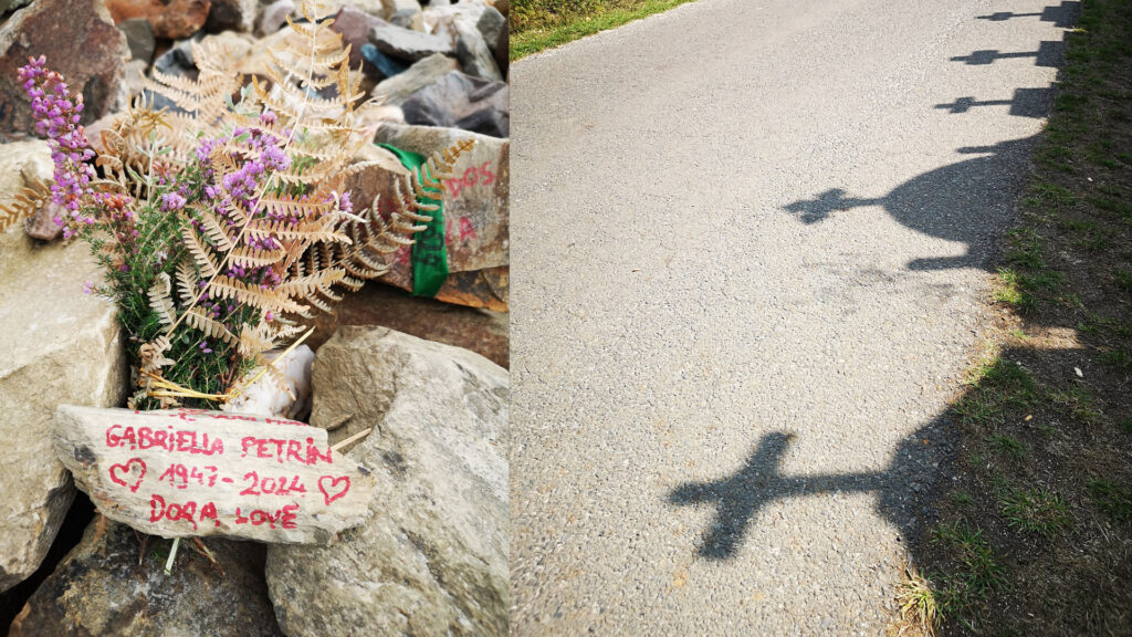 slow walking trail countryside