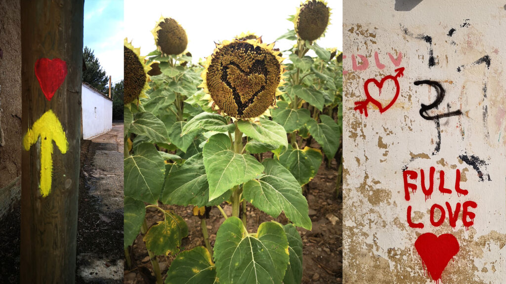 Walking the Camino is a full life reboot