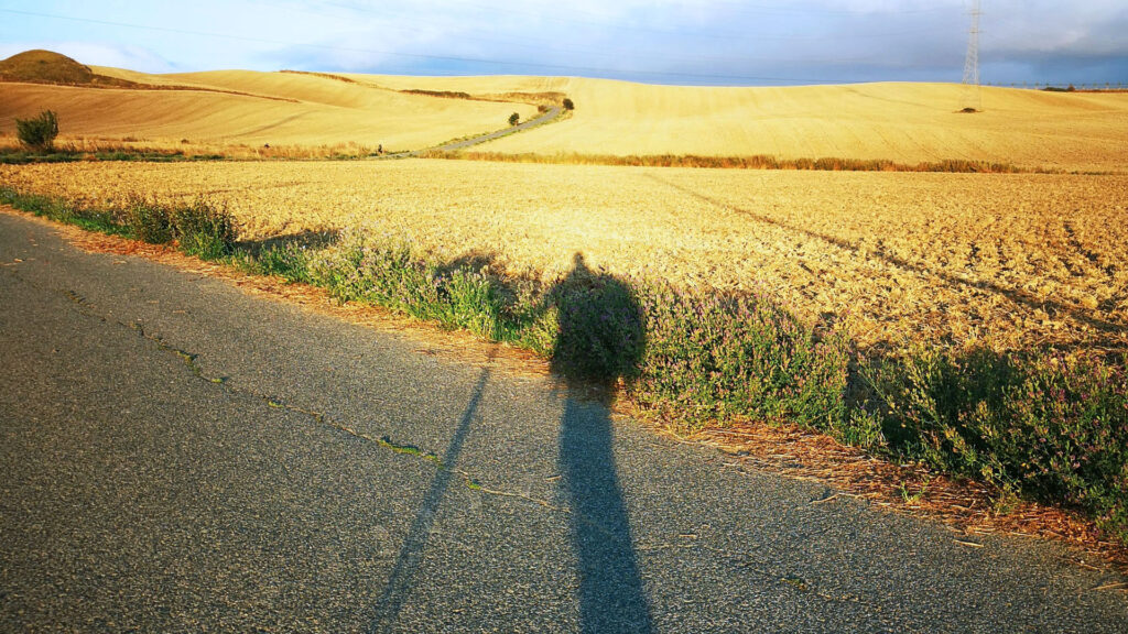 Guide to Walking the Camino