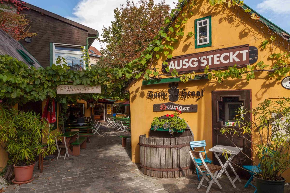 How to Hike the Vienna City Hiking