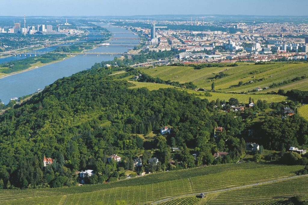 Leopoldsberg - ein Berg mit Geschichte