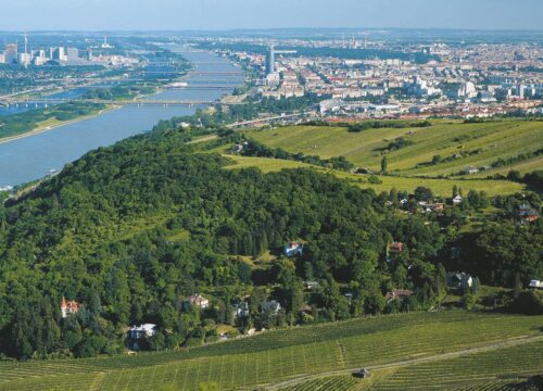 Bécs zöld arca: Panoráma-túrák, szőlőhegyek és titkos vízpartok