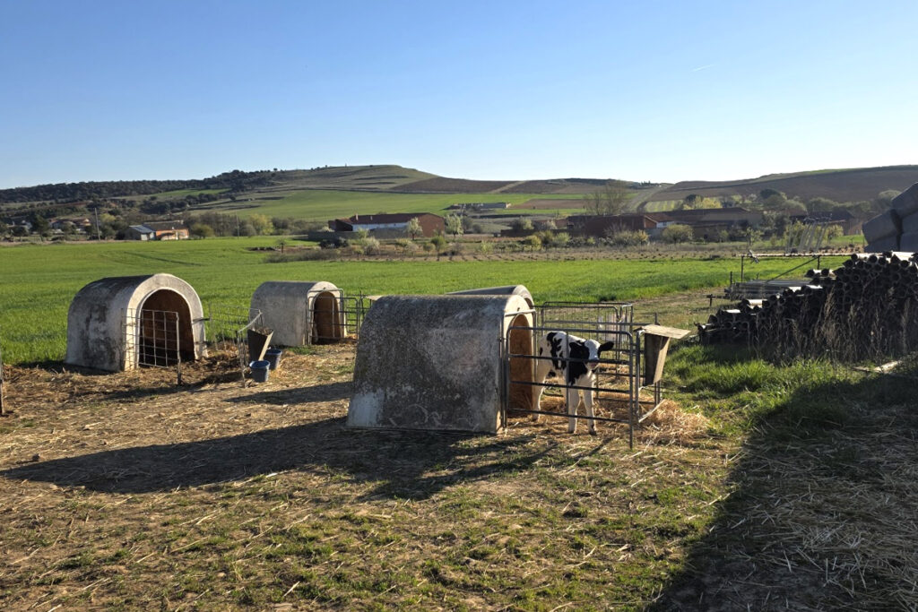 A Camino nem rövidíti le az utat önmagadhoz.