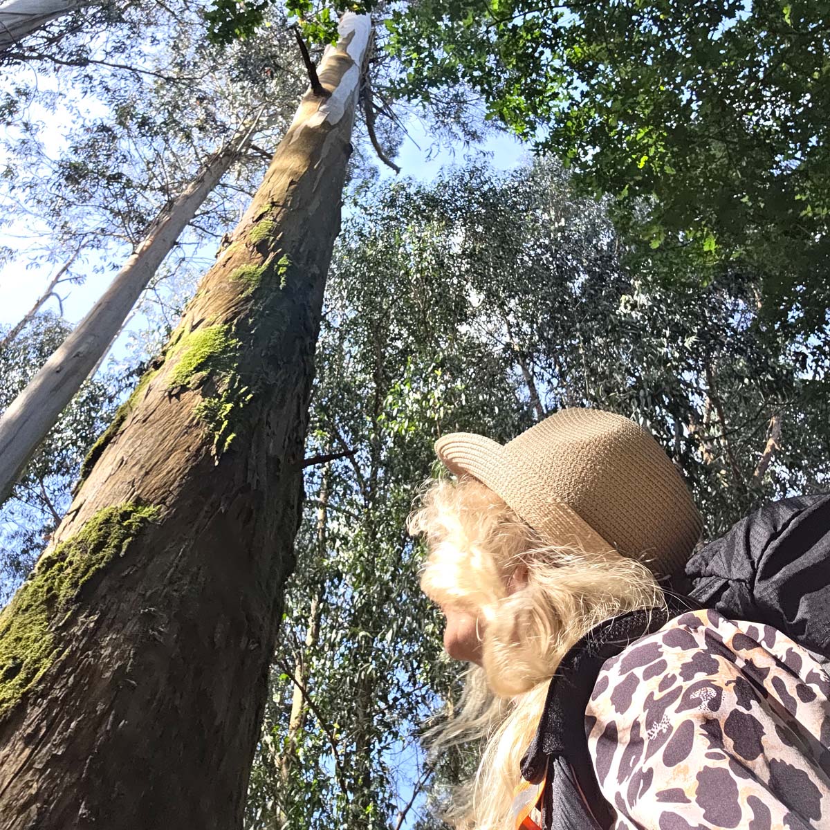 10k walk tudatos séták