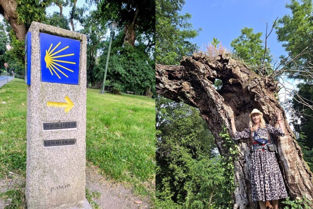 Walking to the End of the World: My Camino de Finisterre ...